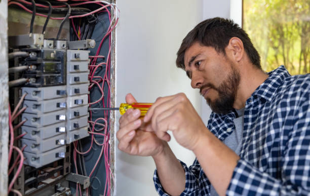 Best Electric Panel Repair  in Guthrie Center, IA